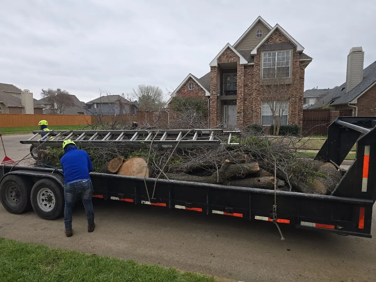 Expert Crown Reduction with proper safety equipment in Sheridan